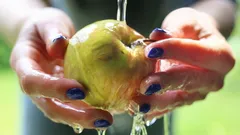 Queste abitudini riducono la durata di conservazione delle mele di settimane: provato nella pratica